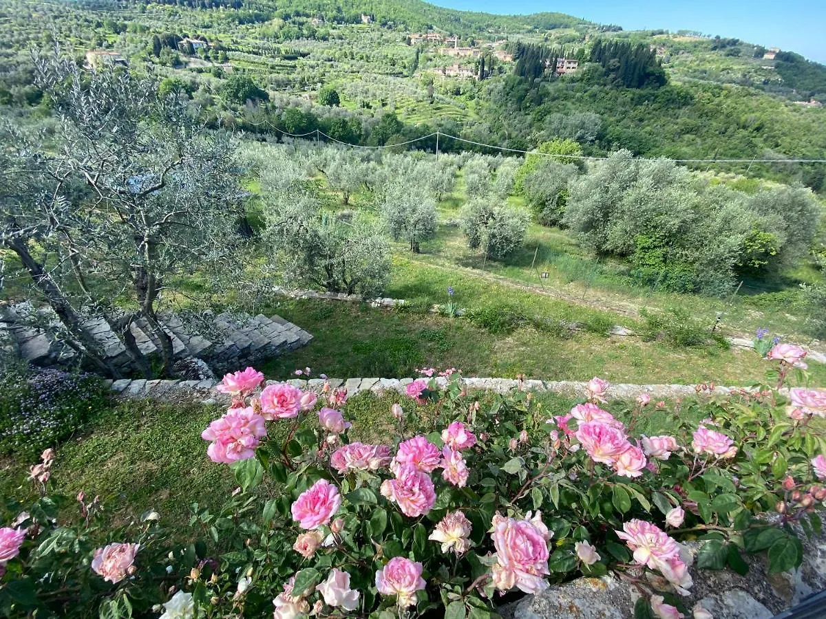 Apartment Florence Villa Violetta Bagno A Ripoli