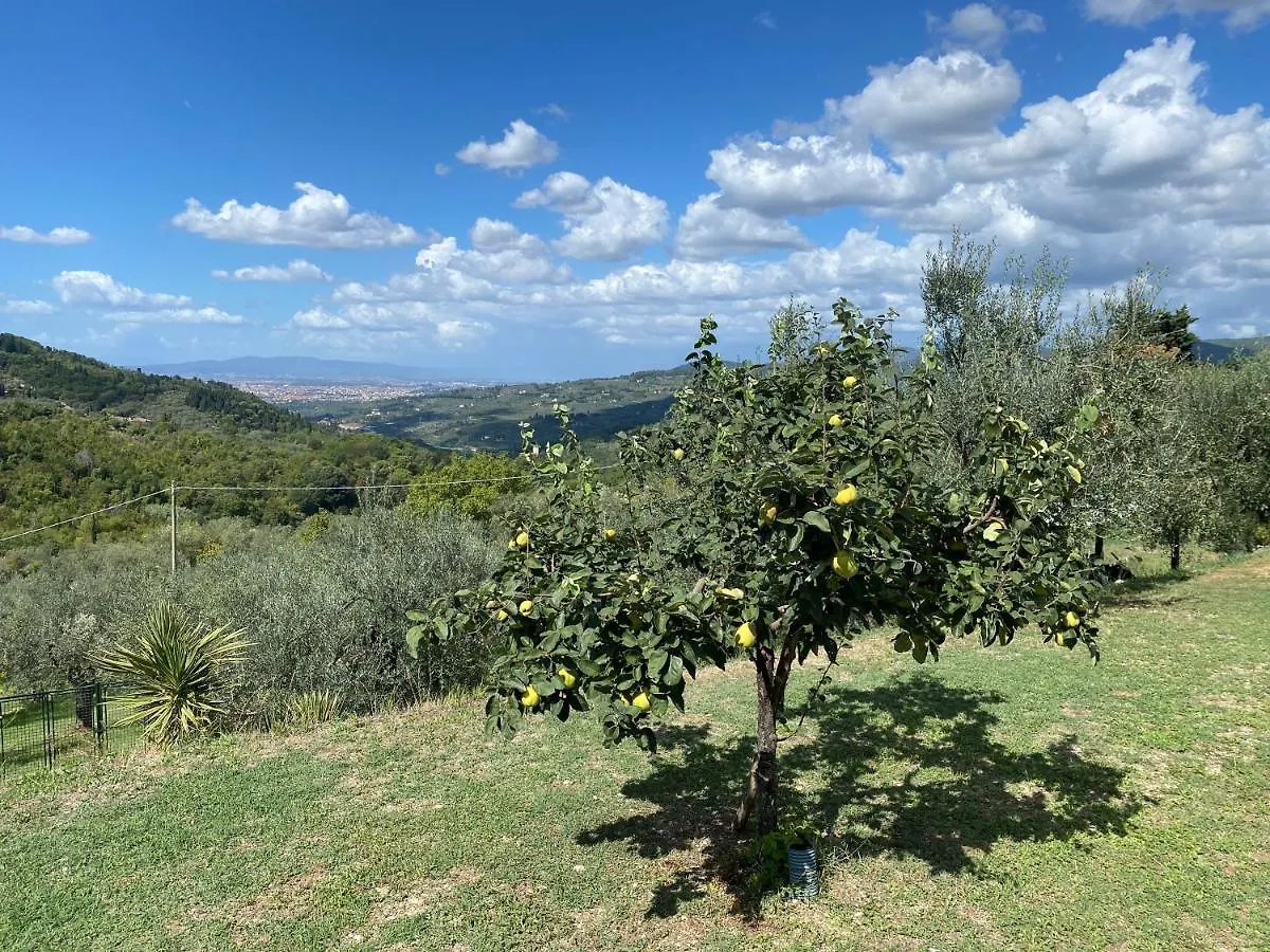 Florence Villa Violetta Bagno A Ripoli Italy